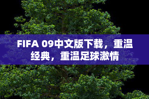FIFA 09中文版下载，重温经典，重温足球激情