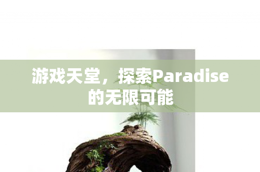 游戏天堂，探索Paradise的无限可能