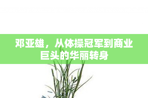 邓亚雄，从体操冠军到商业巨头的华丽转身