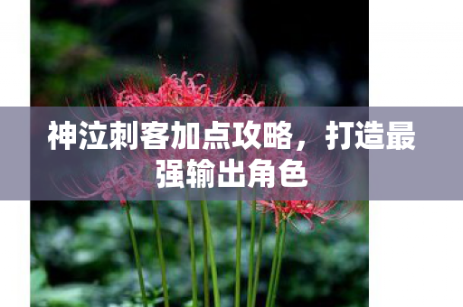神泣刺客加点攻略,打造最强输出角色 神泣刺客加点攻略,打造最强输出角色