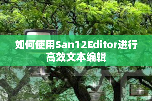 如何使用San12Editor进行高效文本编辑