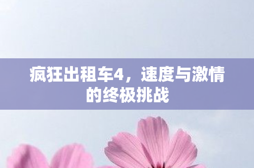 疯狂出租车4，速度与激情的终极挑战