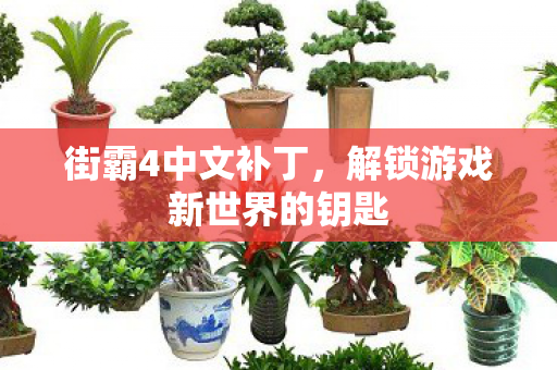 街霸4中文补丁,解锁游戏新世界的钥匙 街霸4中文补丁,解锁游戏新世界的钥匙
