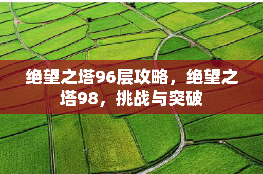 绝望之塔96层攻略图片