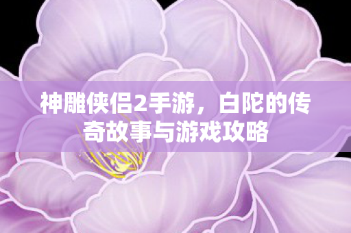 神雕侠侣2手游，白陀的传奇故事与游戏攻略