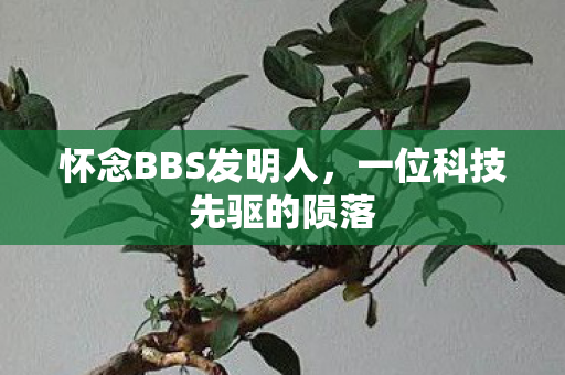 怀念BBS发明人，一位科技先驱的陨落