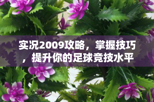 实况2009攻略，掌握技巧，提升你的足球竞技水平
