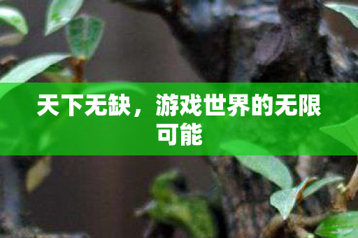 天下无缺，游戏世界的无限可能