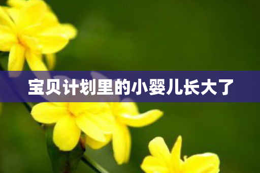 宝贝计划里的小婴儿长大了