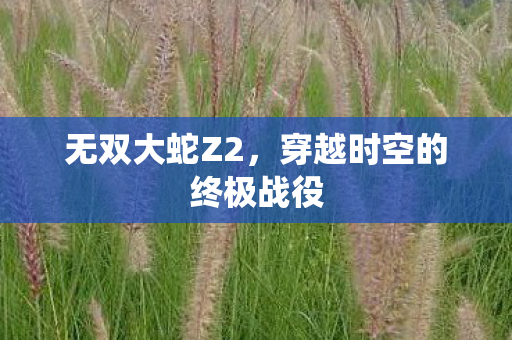 无双大蛇Z2，穿越时空的终极战役