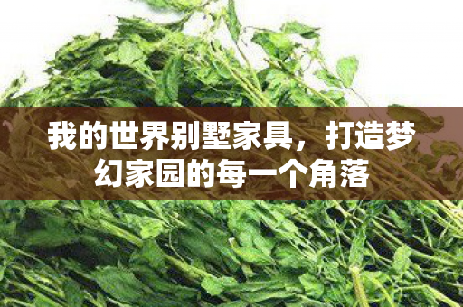 我的世界别墅家具，打造梦幻家园的每一个角落