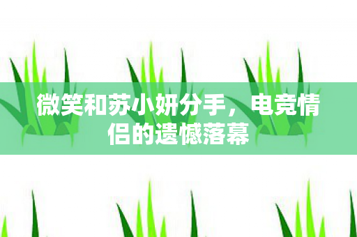 微笑和苏小妍分手，电竞情侣的遗憾落幕