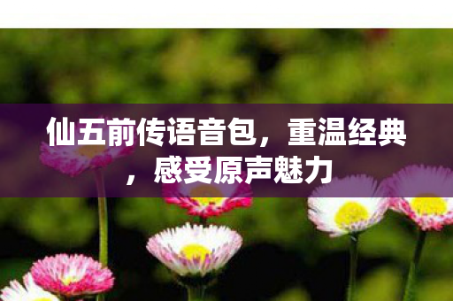 仙五前传语音包，重温经典，感受原声魅力