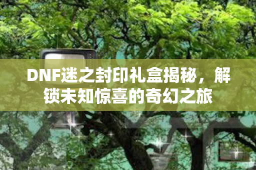 DNF迷之封印礼盒揭秘，解锁未知惊喜的奇幻之旅