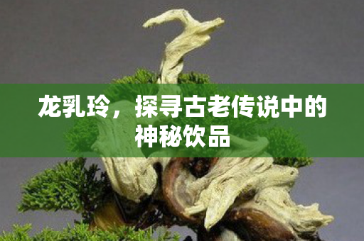 龙乳玲，探寻古老传说中的神秘饮品
