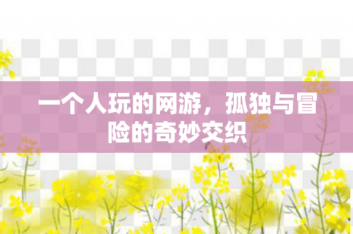 一个人玩的网游，孤独与冒险的奇妙交织