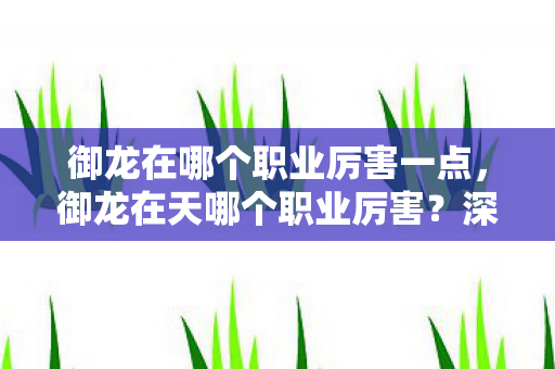 深度解析各职业特点与优势图片