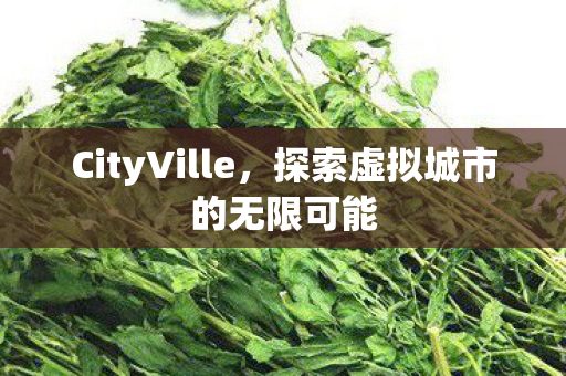 CityVille，探索虚拟城市的无限可能