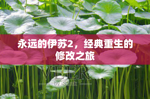 永远的伊苏2，经典重生的修改之旅