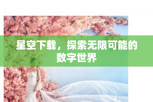 星空下载，探索无限可能的数字世界