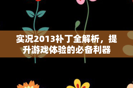 实况2013补丁全解析，提升游戏体验的必备利器