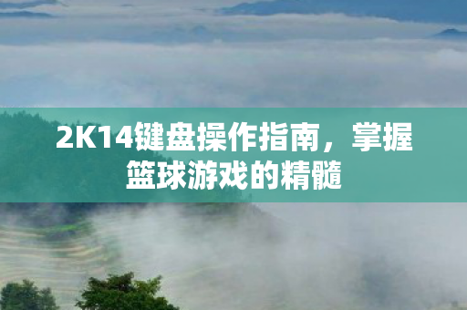 2K14键盘操作指南，掌握篮球游戏的精髓