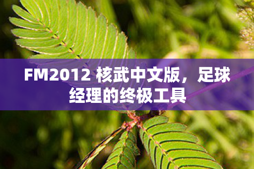 FM2012 核武中文版，足球经理的终极工具