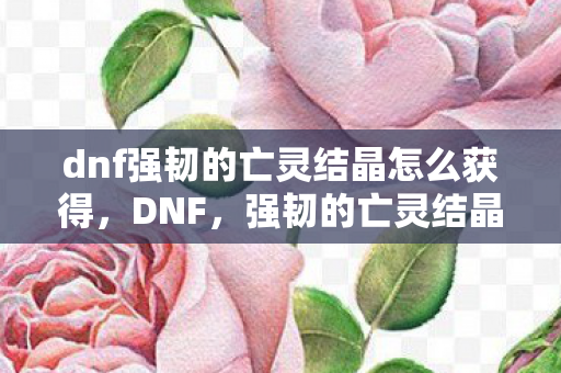 dnf强韧的亡灵结晶怎么获得图片