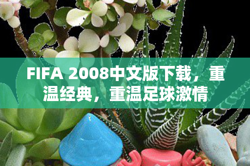 FIFA 2008中文版下载，重温经典，重温足球激情