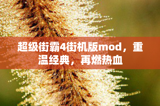 超级街霸4街机版mod，重温经典，再燃热血