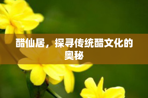 醋仙居，探寻传统醋文化的奥秘