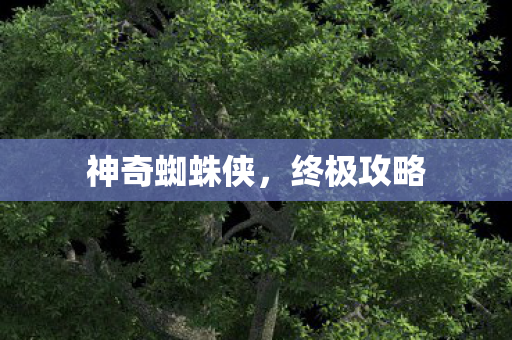 神奇蜘蛛侠,终极攻略 神奇蜘蛛侠,终极攻略