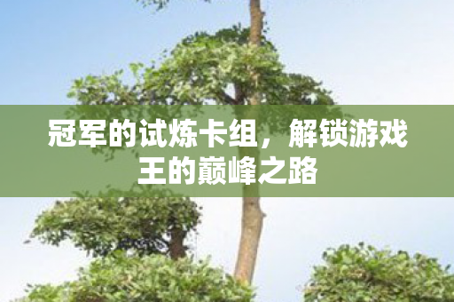 冠军的试炼卡组，解锁游戏王的巅峰之路