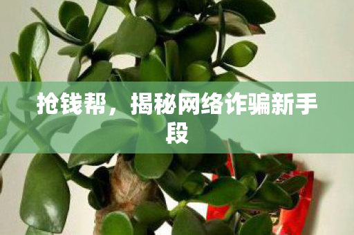 抢钱帮,揭秘网络诈骗新手段 抢钱帮,揭秘网络诈骗新手段