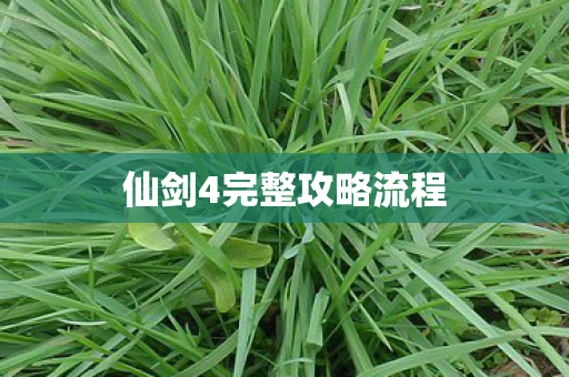 仙剑4完整攻略流程