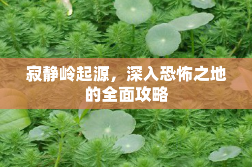 寂静岭起源，深入恐怖之地的全面攻略