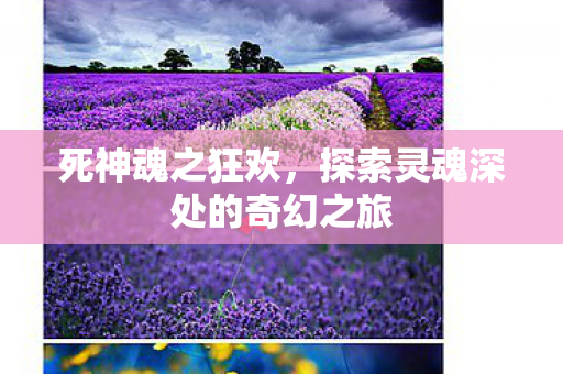死神魂之狂欢，探索灵魂深处的奇幻之旅