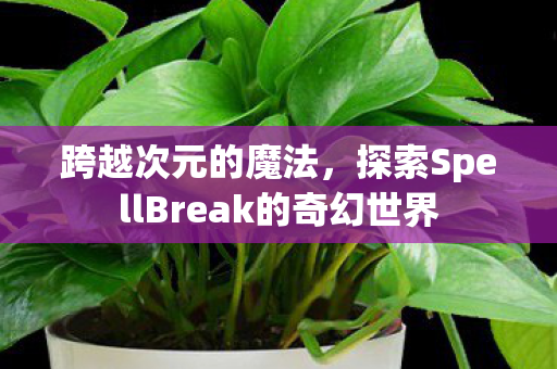 跨越次元的魔法，探索SpellBreak的奇幻世界
