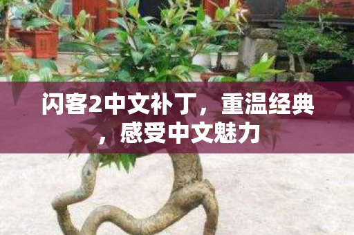 闪客2中文补丁，重温经典，感受中文魅力