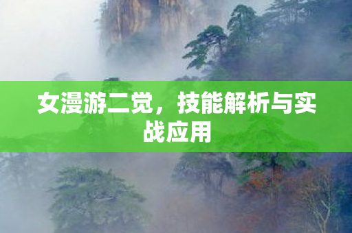 女漫游二觉，技能解析与实战应用