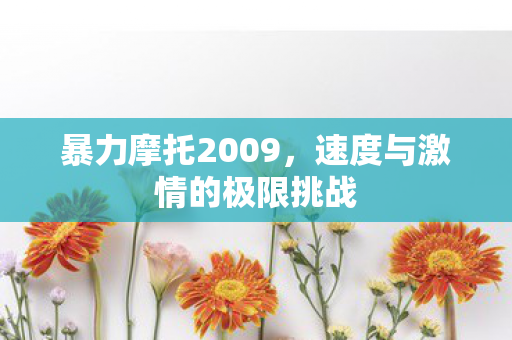 暴力摩托2009，速度与激情的极限挑战