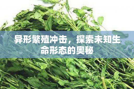 异形繁殖冲击，探索未知生命形态的奥秘