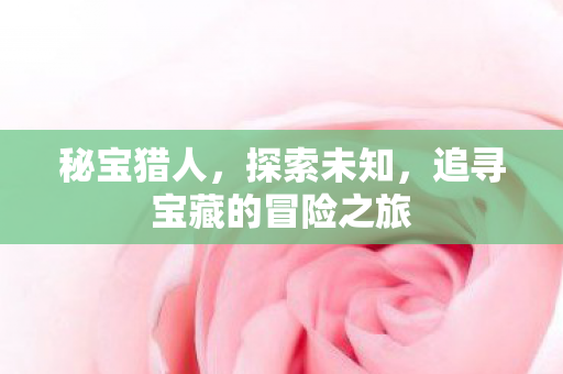 秘宝猎人,探索未知,追寻宝藏的冒险之旅 秘宝猎人,探索未知,追寻宝藏的冒险之旅