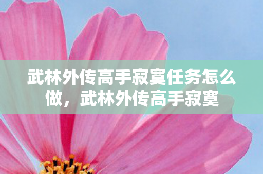 武林外传高手寂寞任务怎么做图片