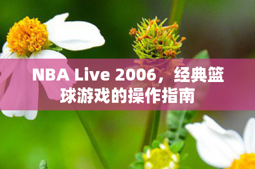 NBA Live 2006，经典篮球游戏的操作指南