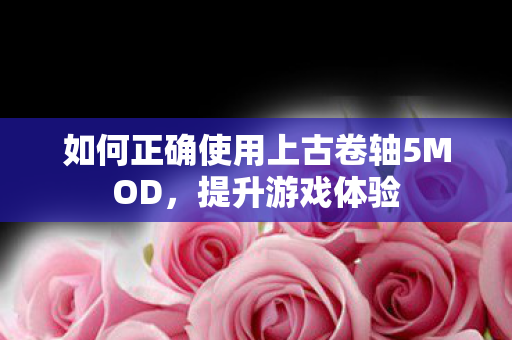 如何正确使用上古卷轴5MOD，提升游戏体验