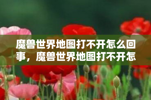 魔兽世界地图打不开怎么回事图片