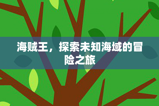 海贼王,探索未知海域的冒险之旅 海贼王,探索未知海域的冒险之旅