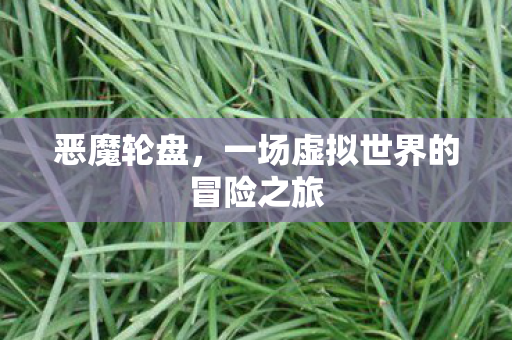 恶魔轮盘，一场虚拟世界的冒险之旅