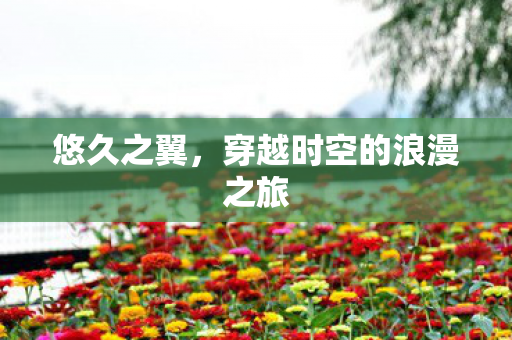 悠久之翼，穿越时空的浪漫之旅